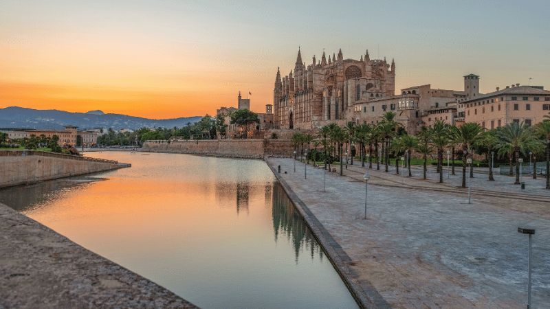 NEGOCIOS MALLORCA